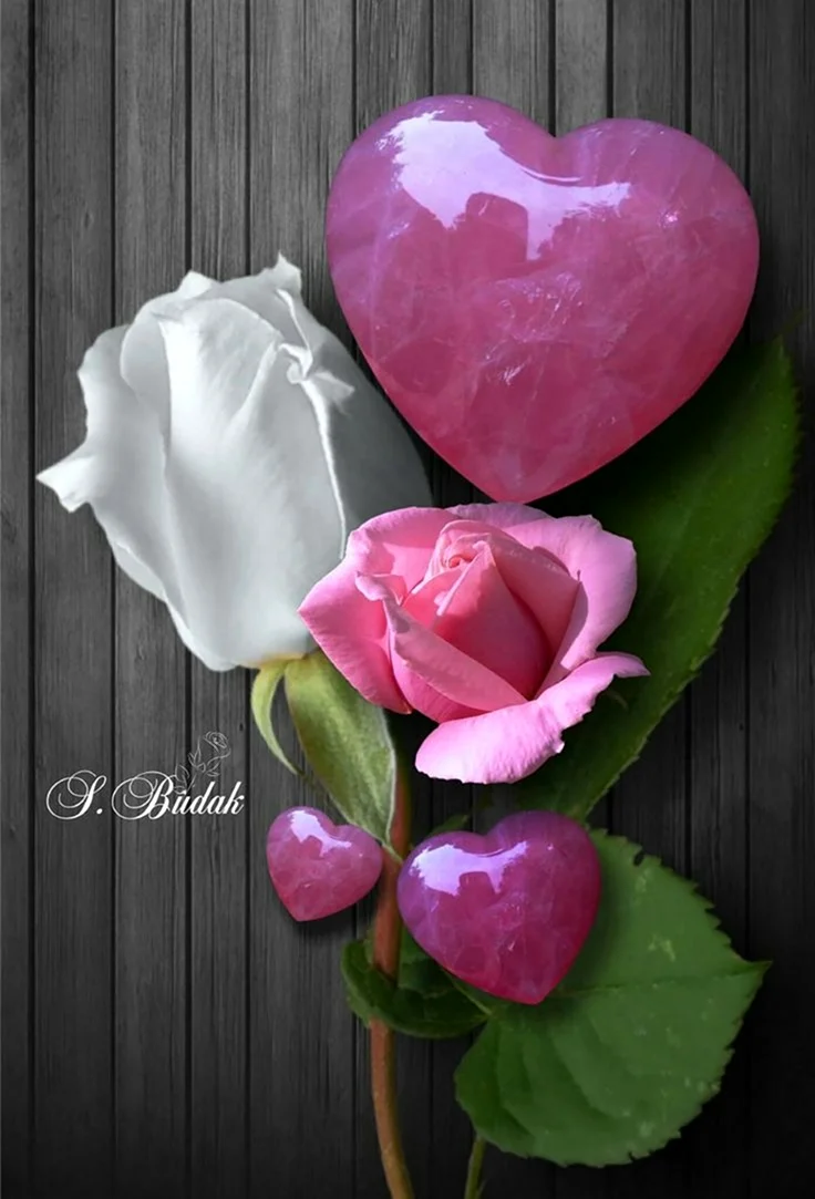 Розы в сердце
