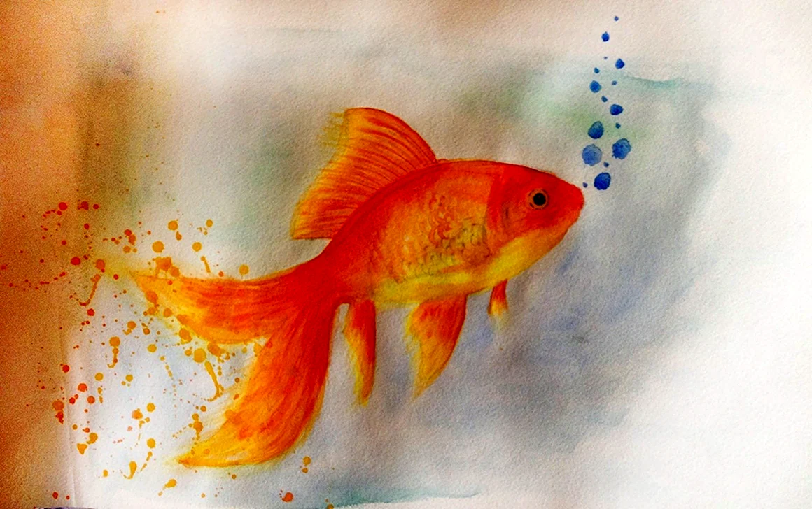 Рыбки в цветовой гамме