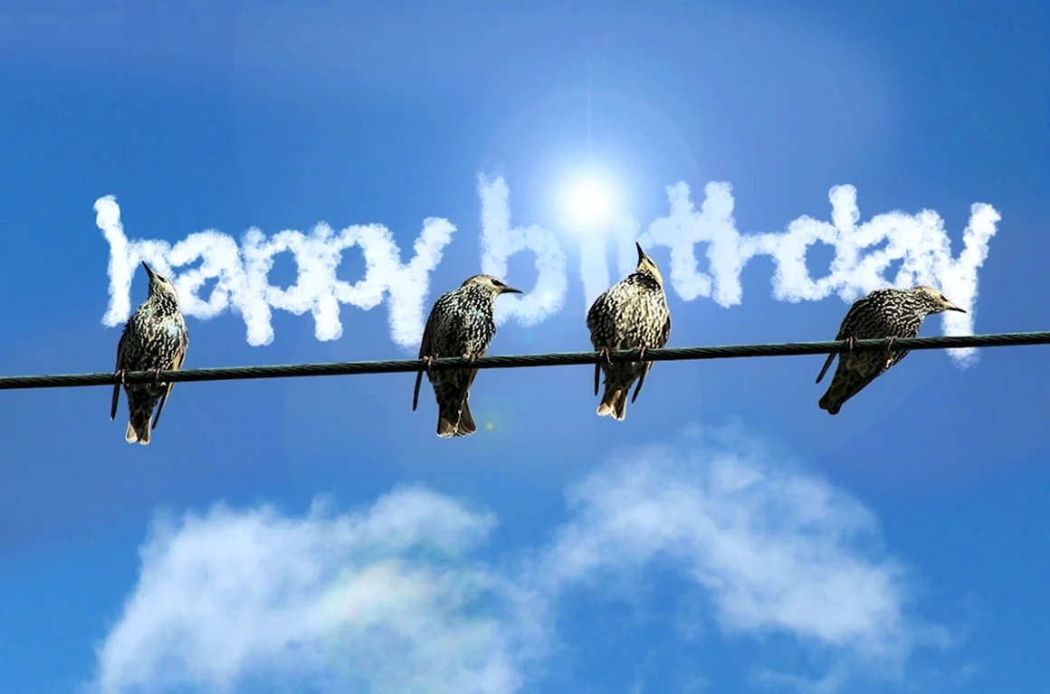 С днем рождения птицы