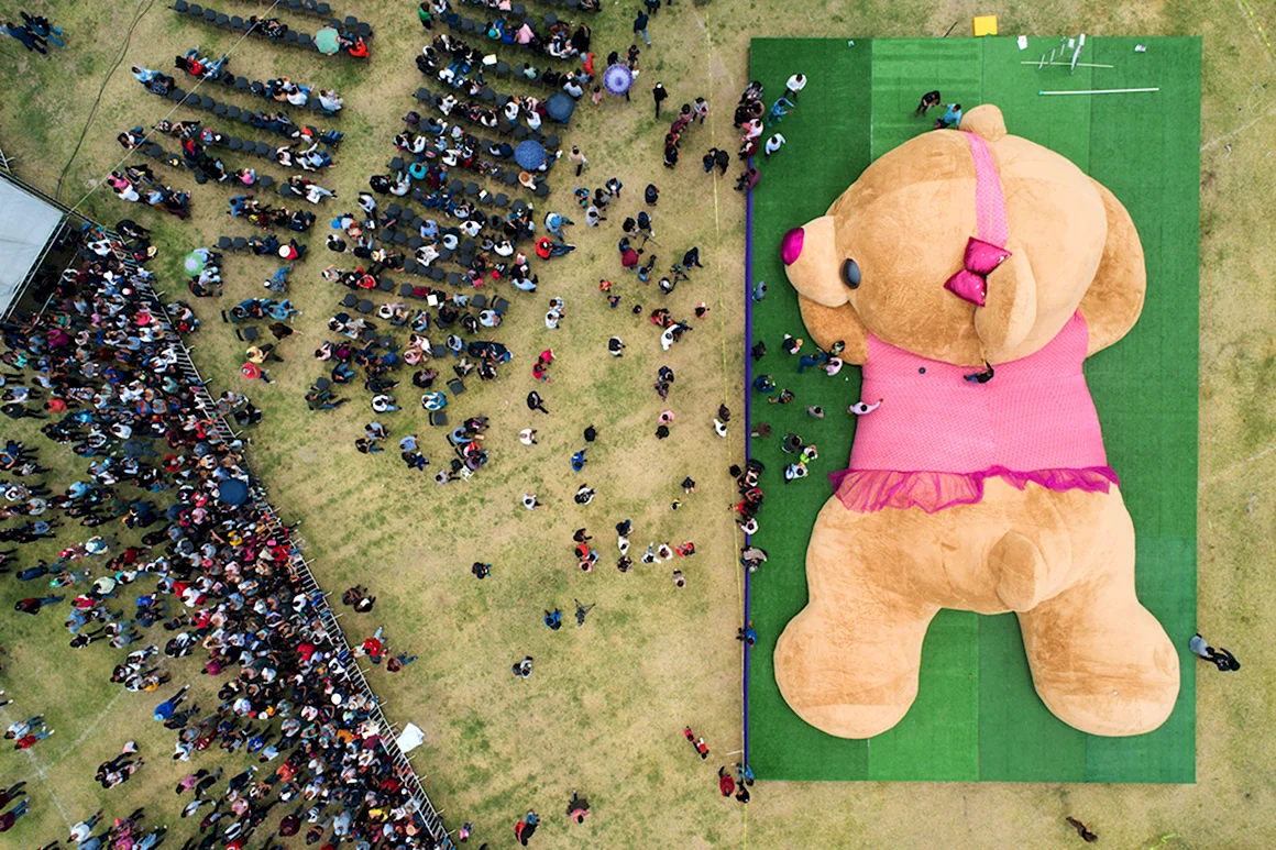 Самый большой плюшевый медведь в мире книга рекордов Гиннесса