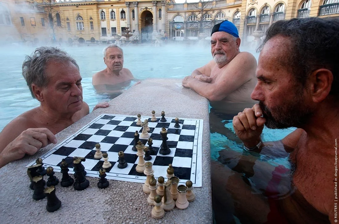 Сечени Будапешт шахматы