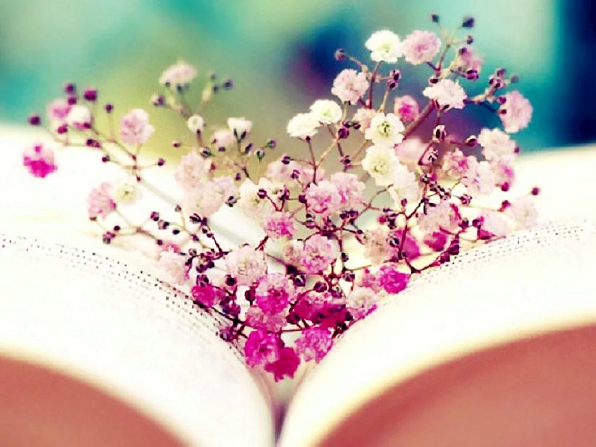 Сердце книга цветы
