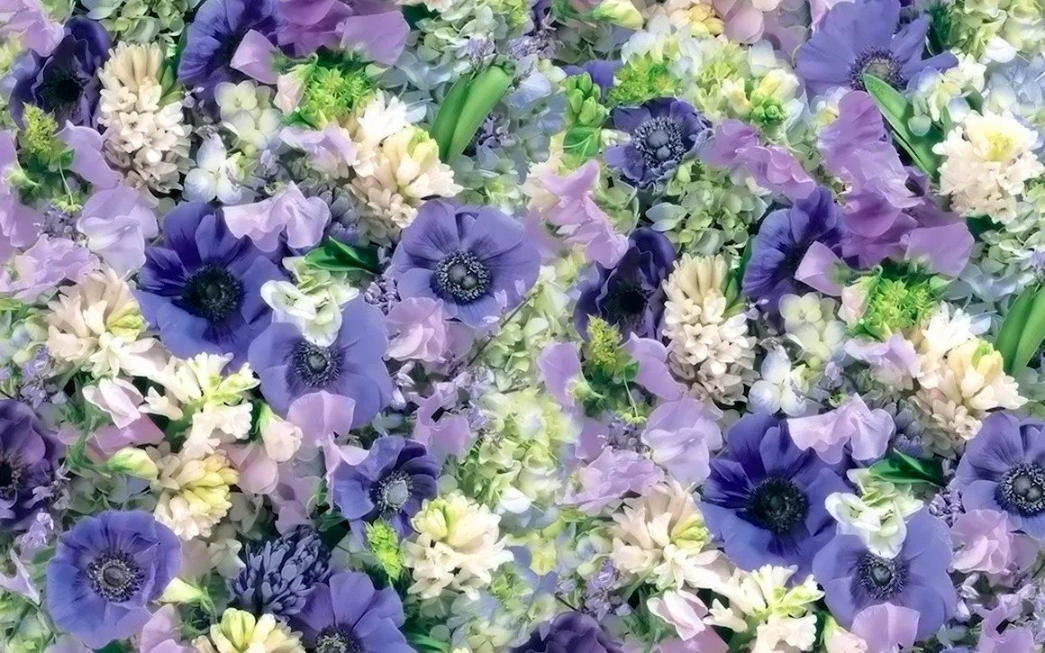 Синие цветы для баннера