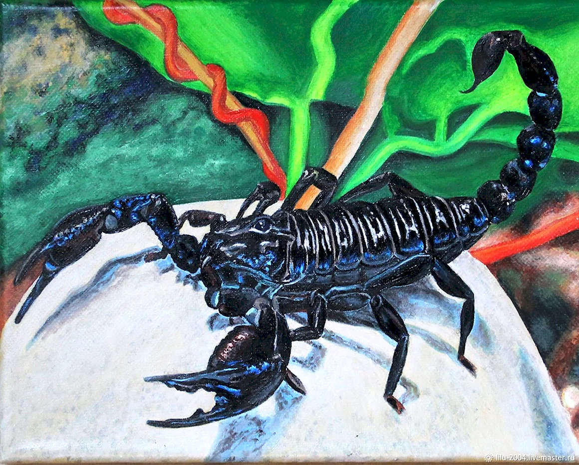 Скорпион картина