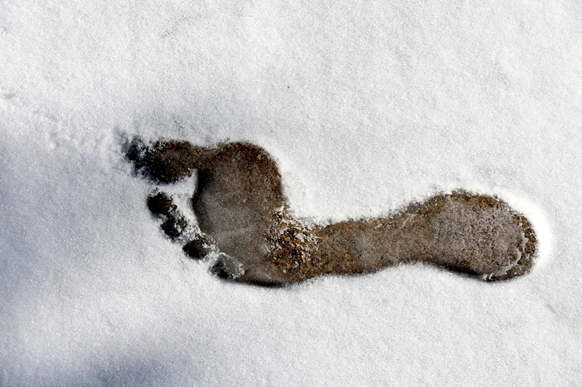 Следы ног на снегу