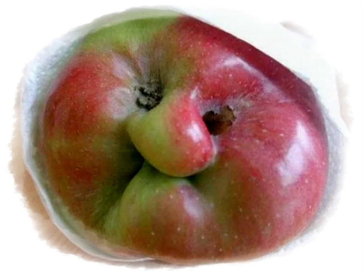 Смешное яблоко