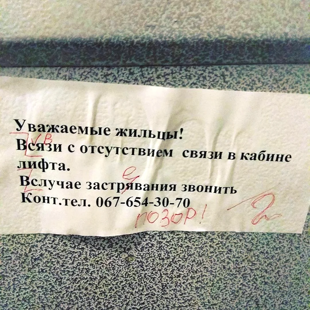 Смешные ошибки в русском языке