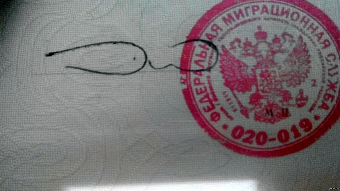 Смешные росписи в паспорте