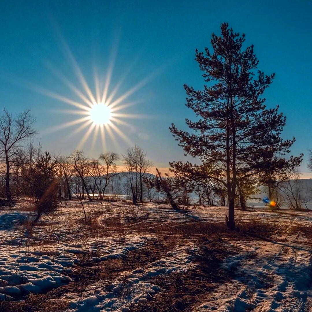 Солнце зимой