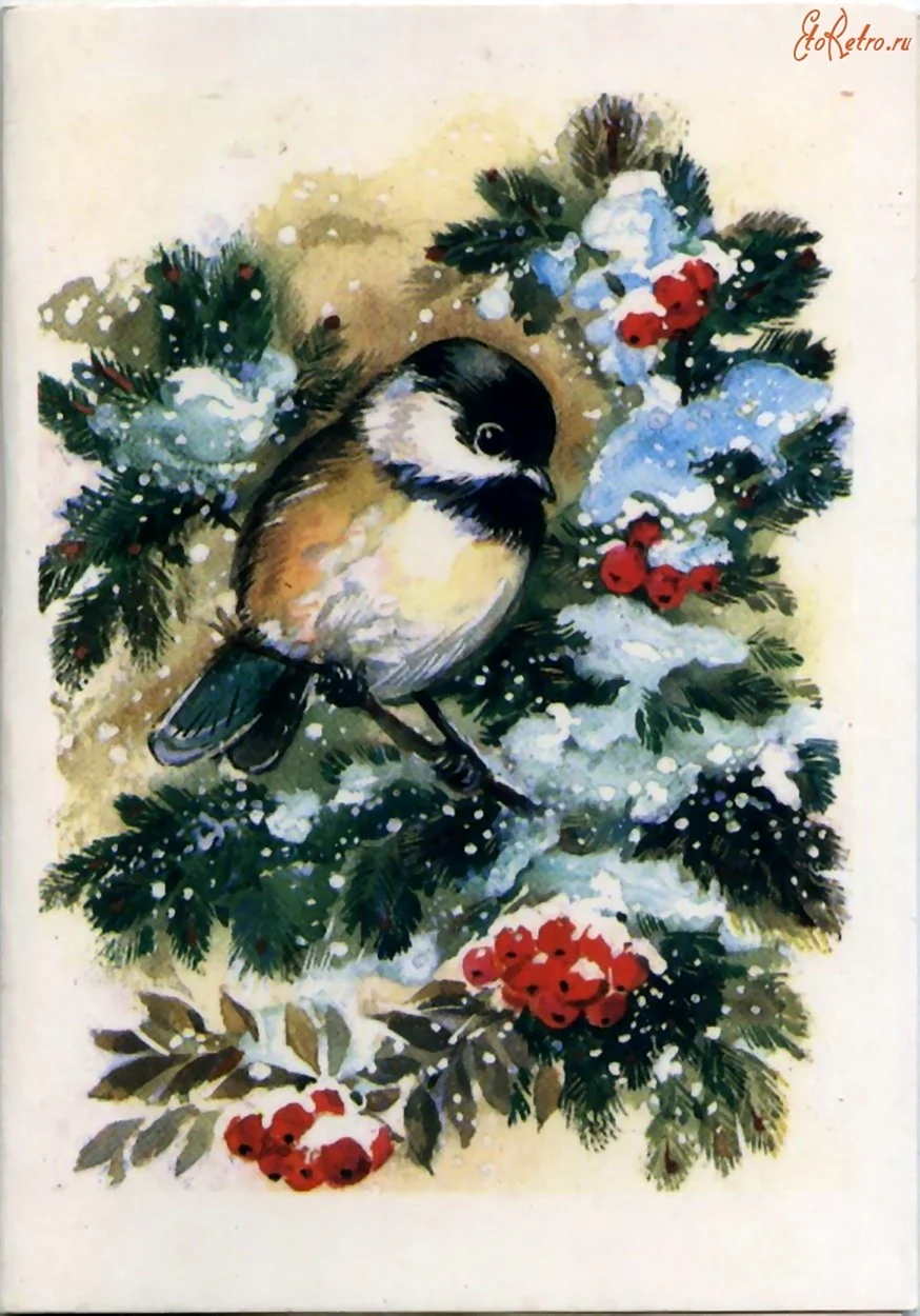 Советские открытки со снегирями