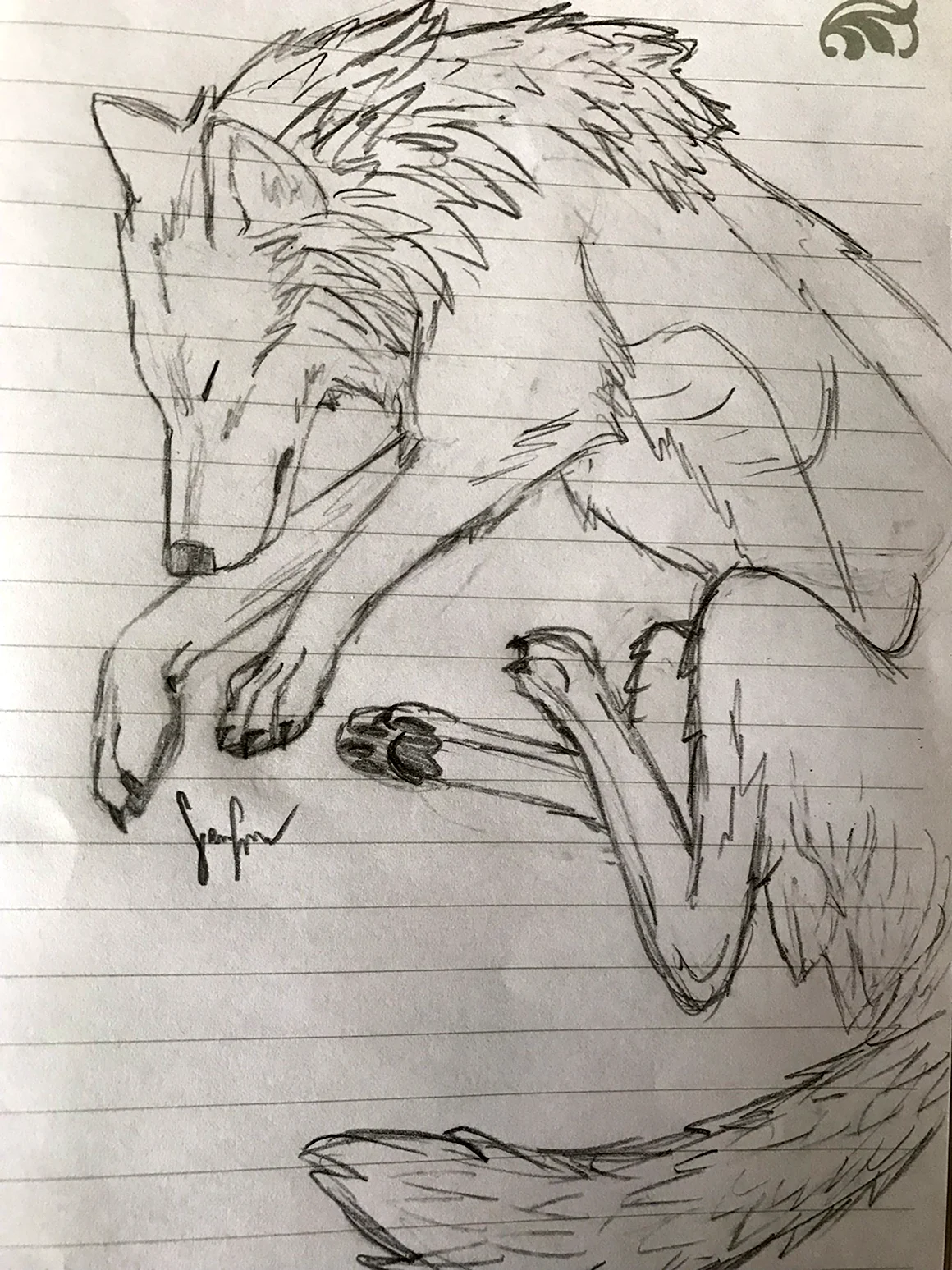 Срисовка грустного волка карандашом