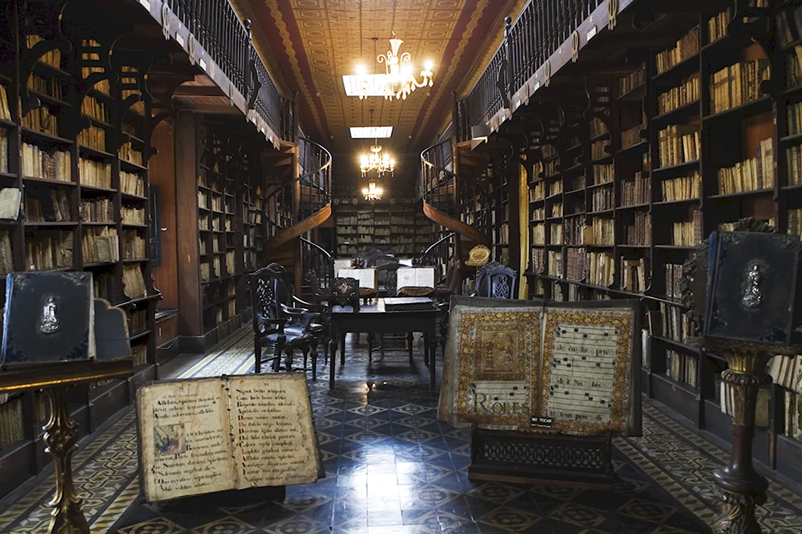 Старая библиотека