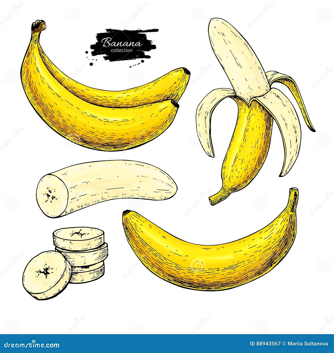 Строение банана