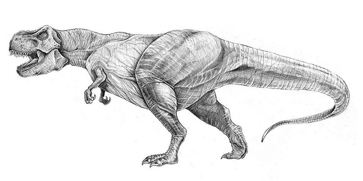 Тираннозавр рекс рисунок