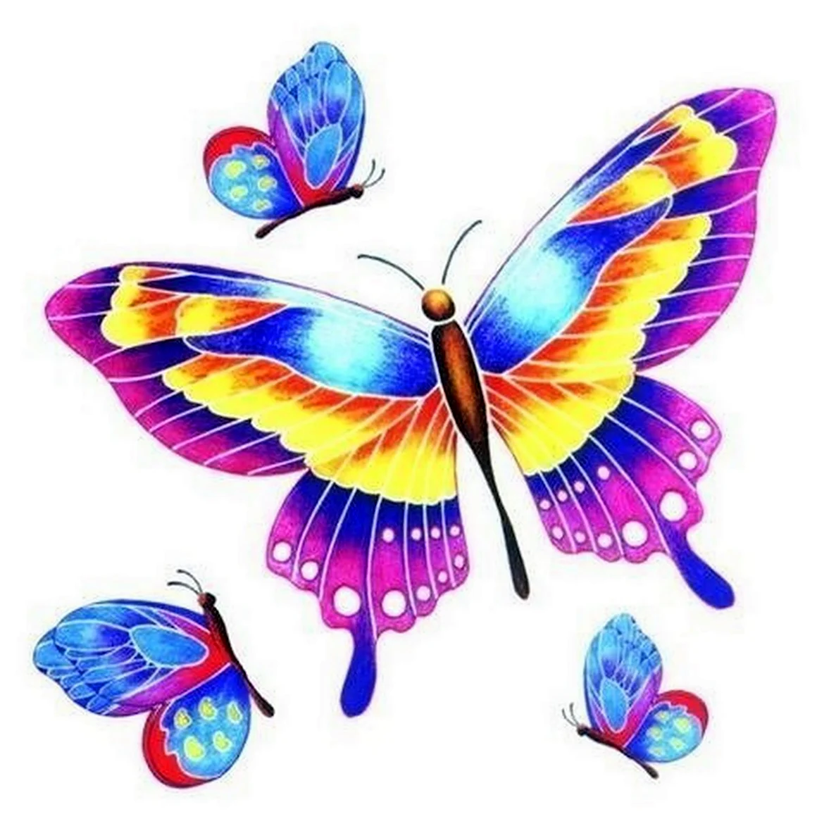 Цветные птички и бабочки