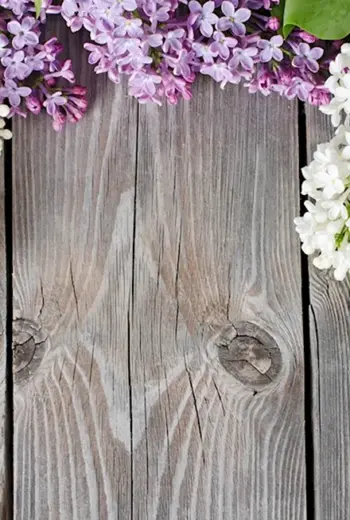Цветы на деревянной поверхности