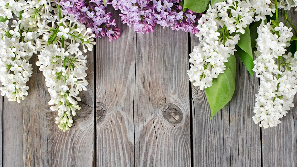 Цветы на деревянной поверхности