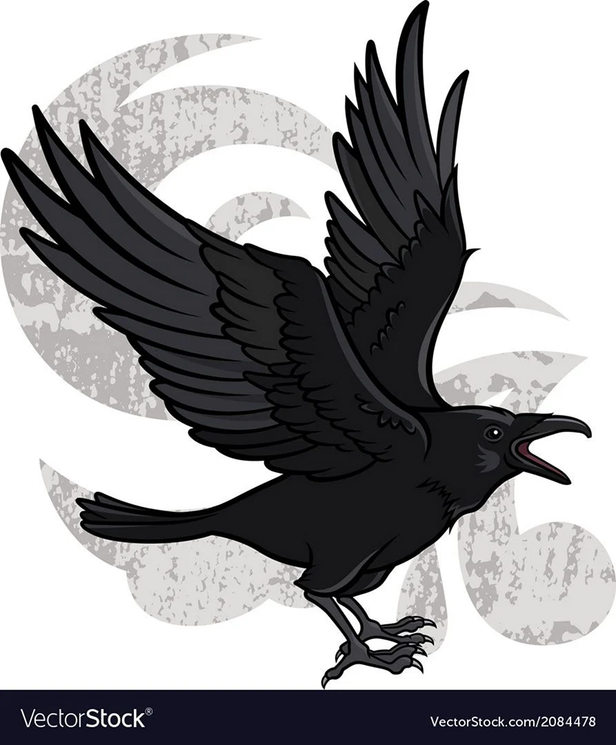 Вектор ворона с расправленными крыльями