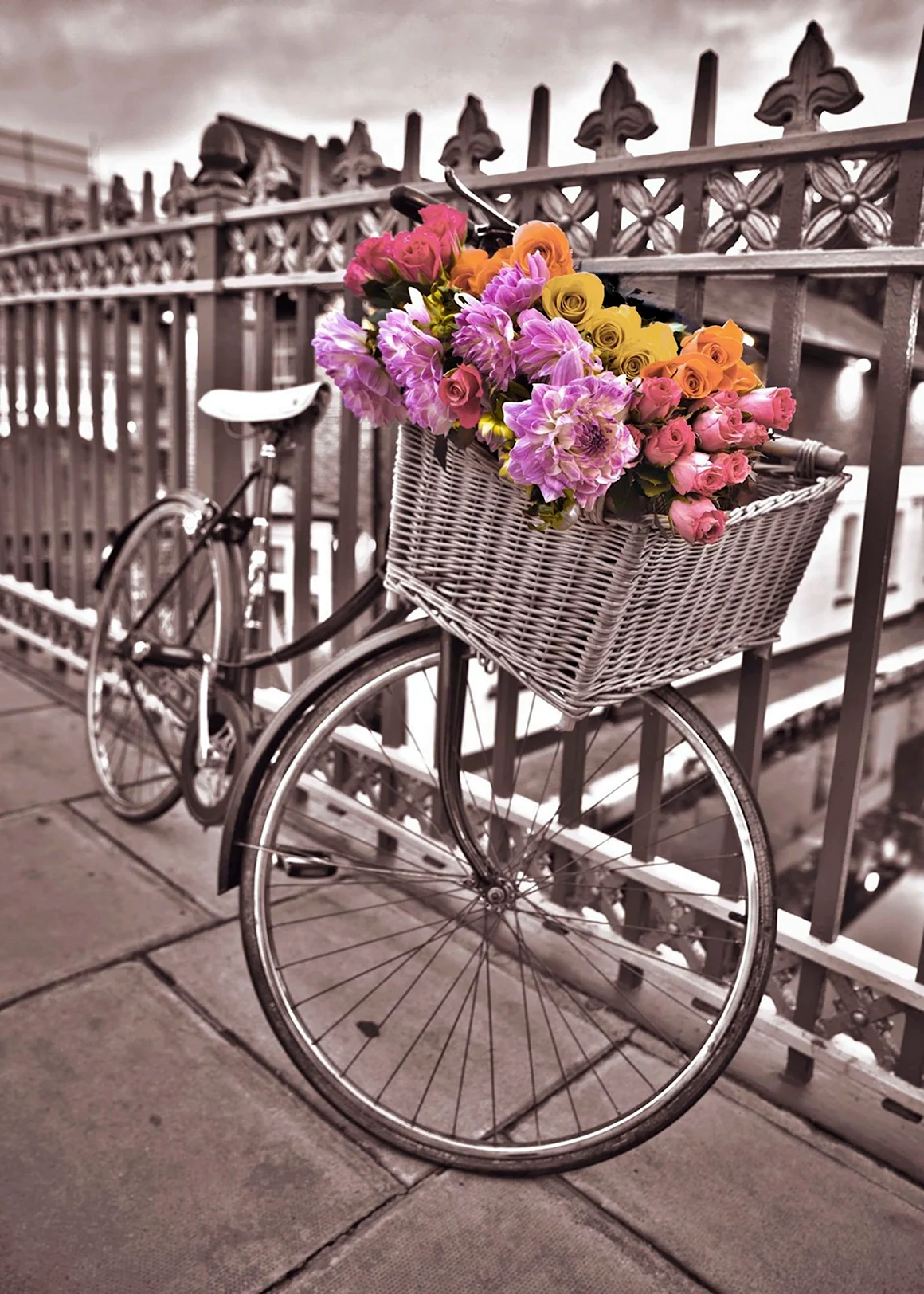 Велосипед с корзинкой с цветами