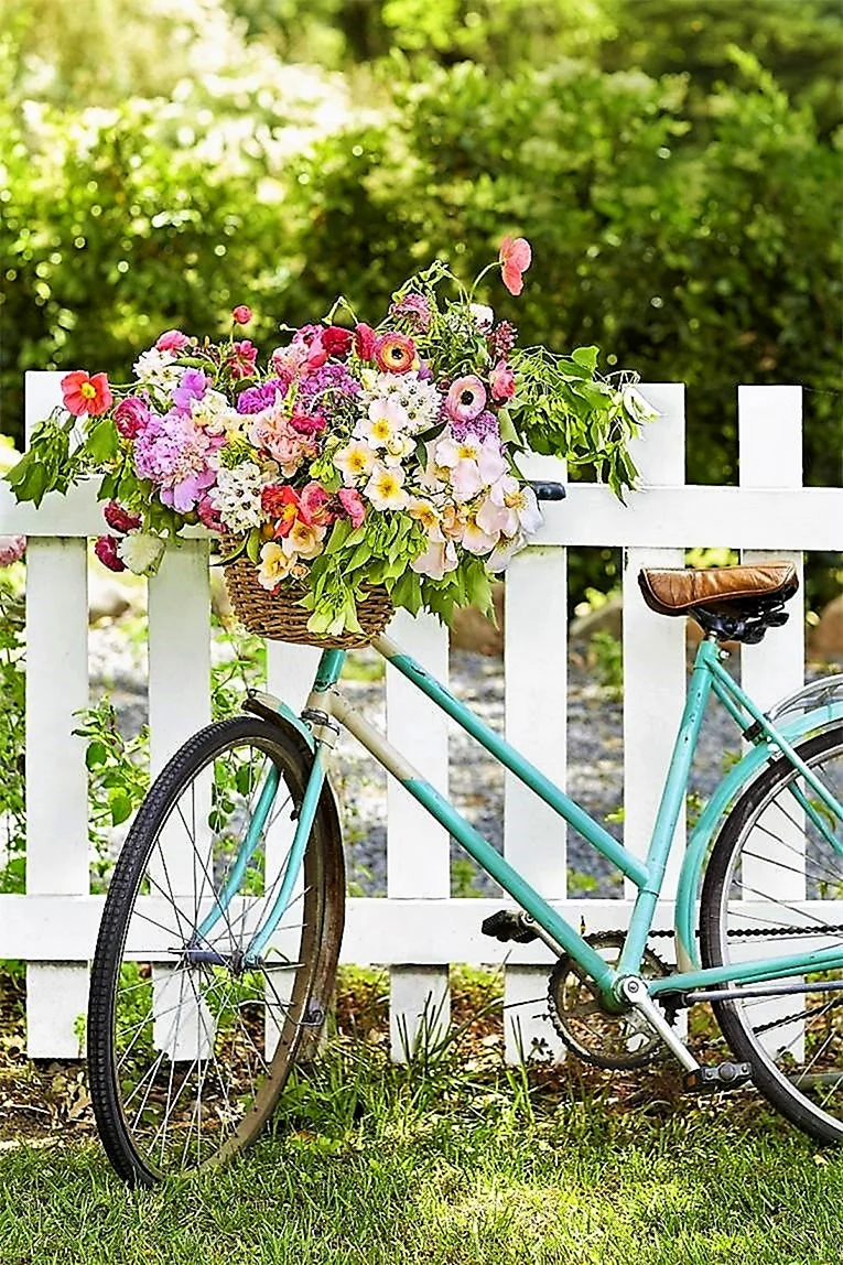 Велосипед с корзинкой цветов