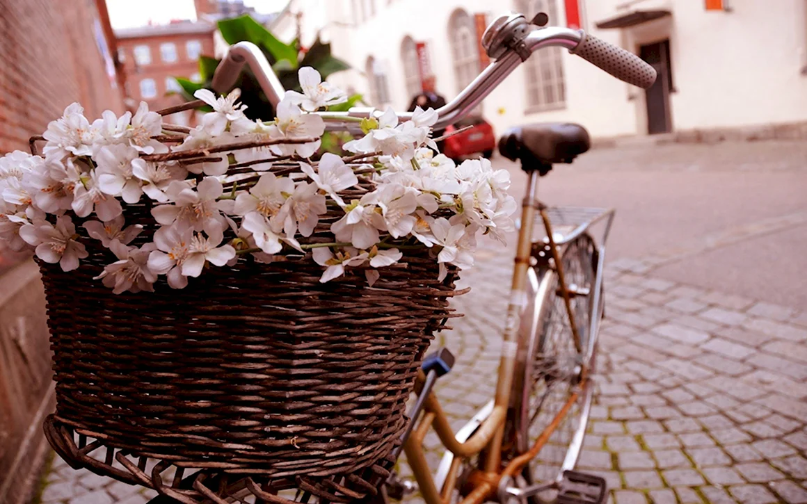 Велосипед с корзиной цветов