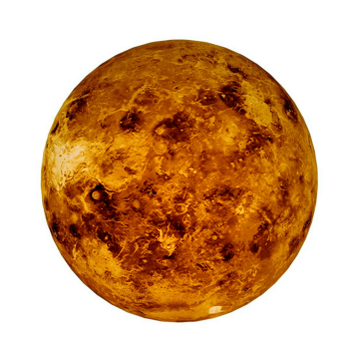 Венера 3d model