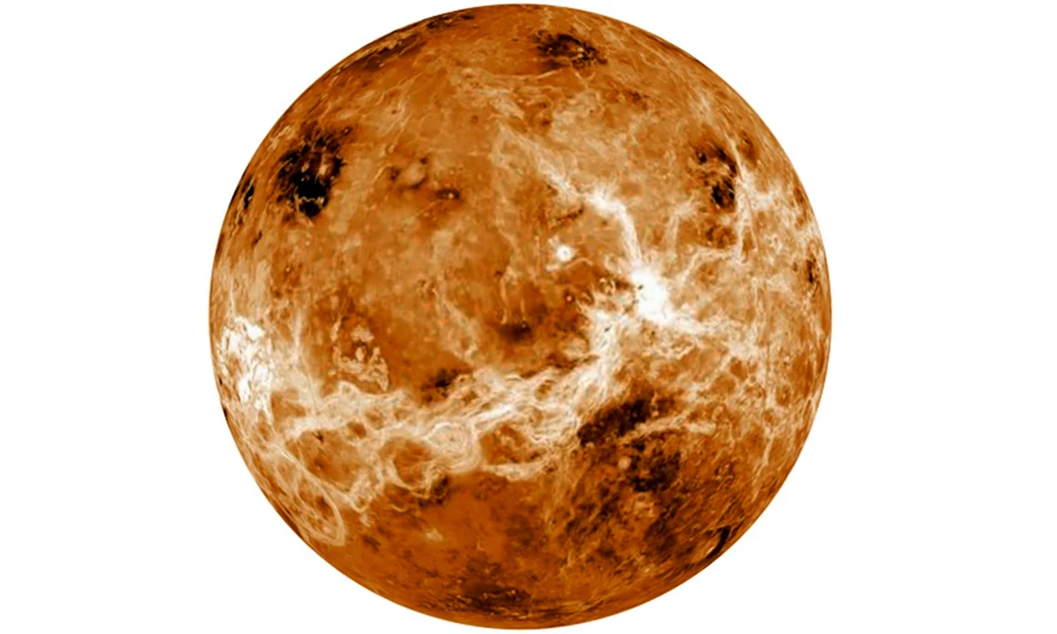 Венера на белом фоне