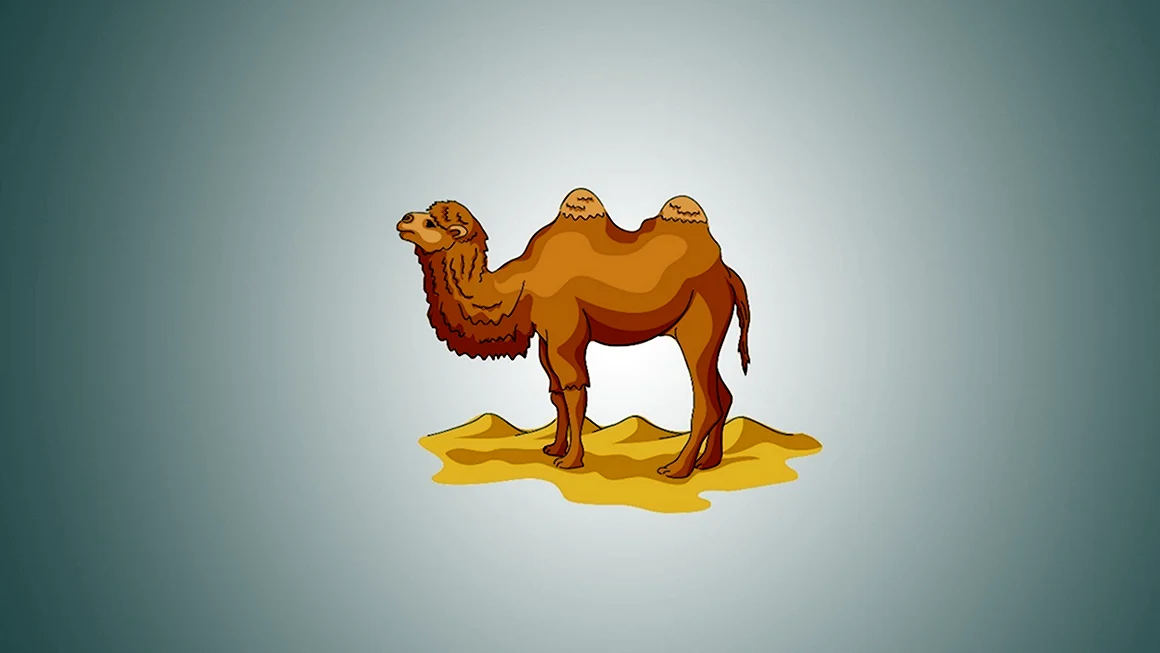 Верблюд кэмел