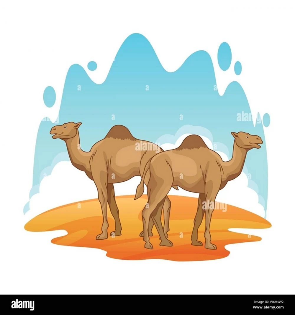 Верблюды в пустыне вектор