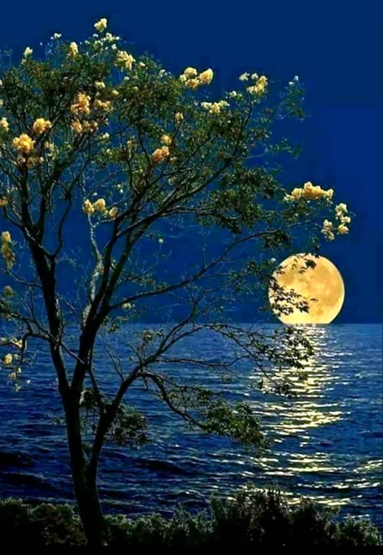 Весенняя ночь Луна