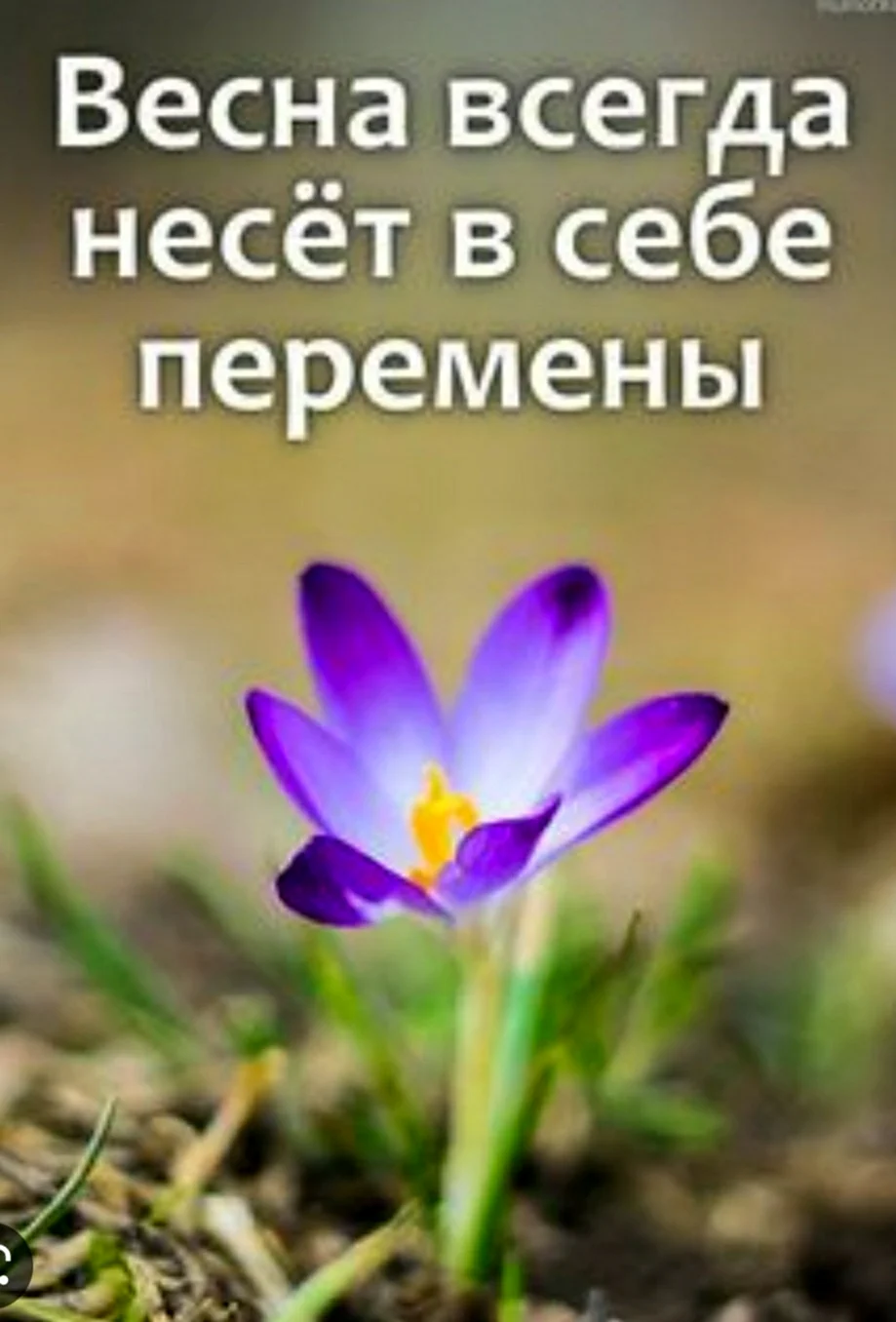 Короткие высказывания о весне. Весенние высказывания. Цитаты про весну. Весенние цитаты. Красивые мысли о весне.