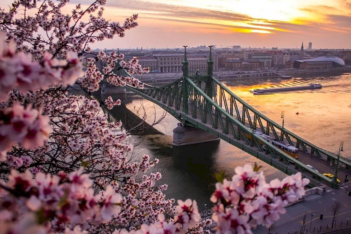 Весенний Будапешт
