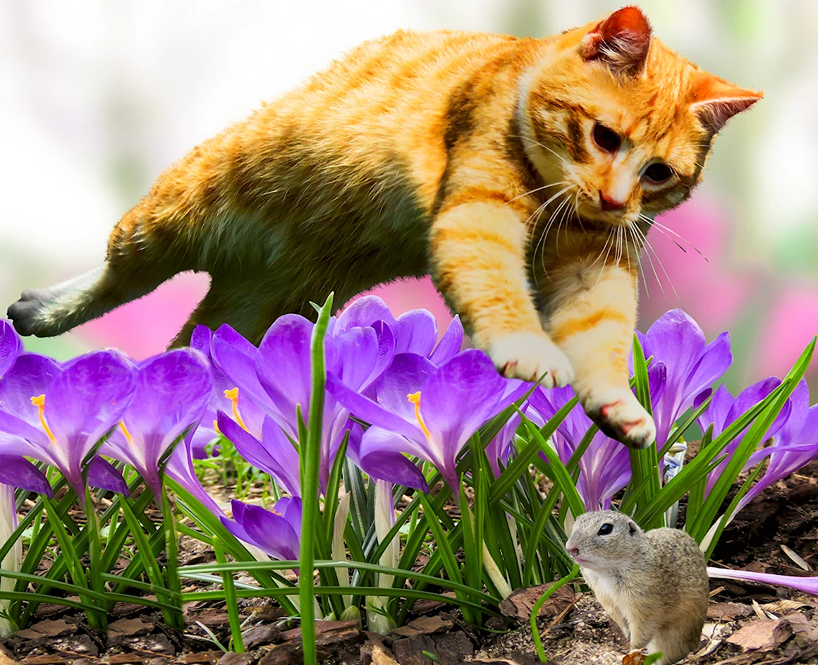 Весна животные