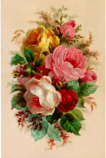 Викторианские розы