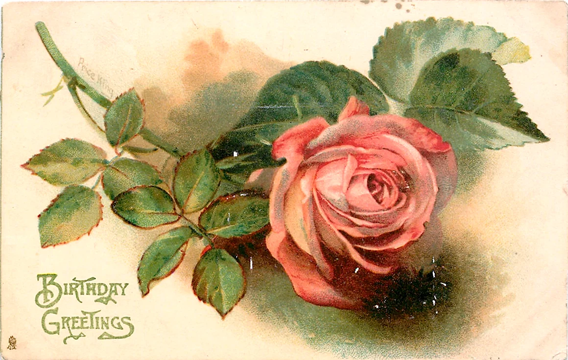Винтажные открытки с розами