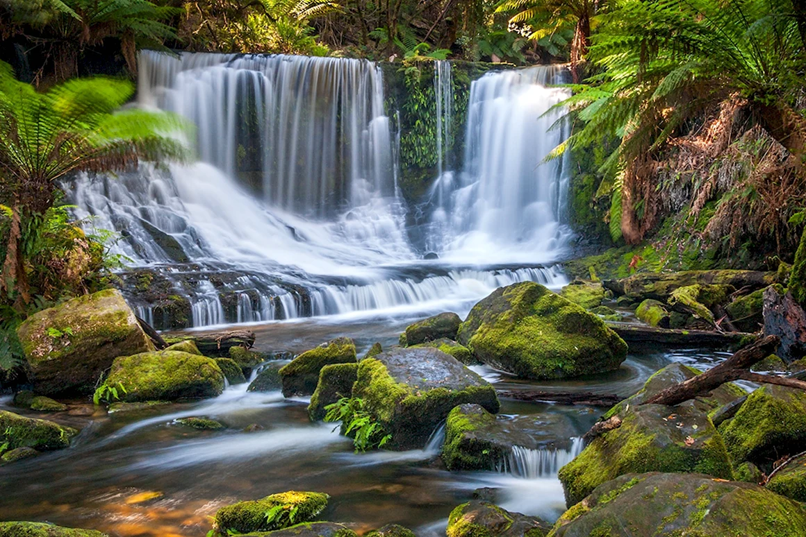 Водопады Тасмании