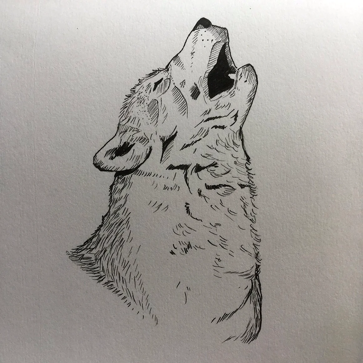 Волк для скетчбука