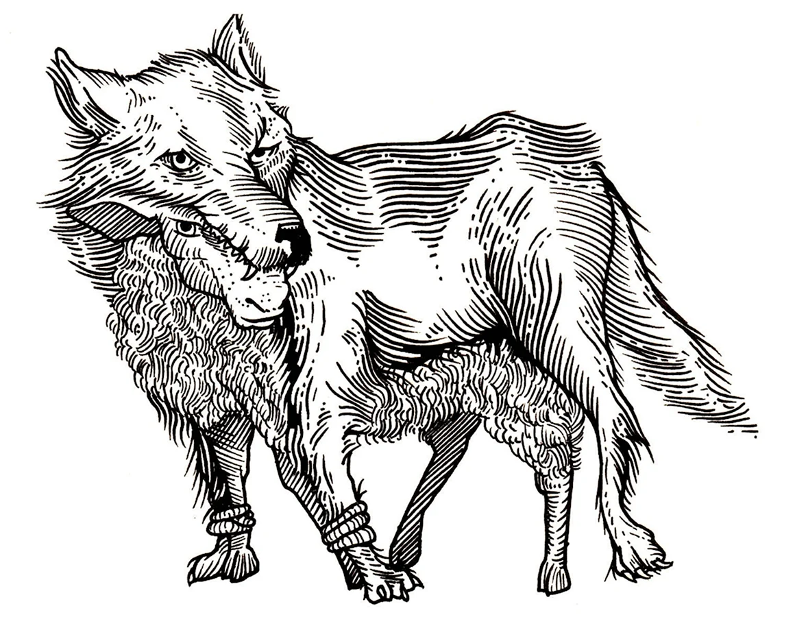 Волк и ягненок раскраска