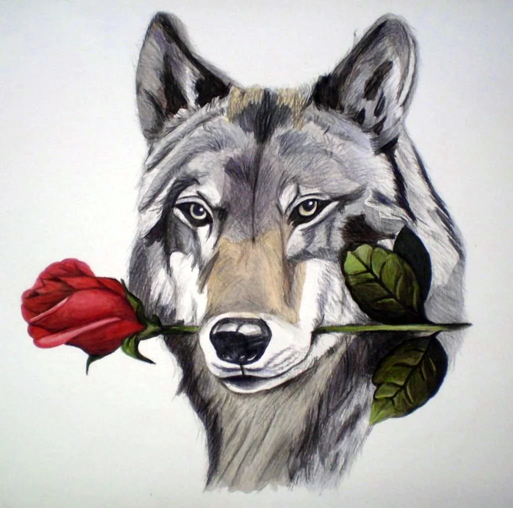 Волк с розой в зубах