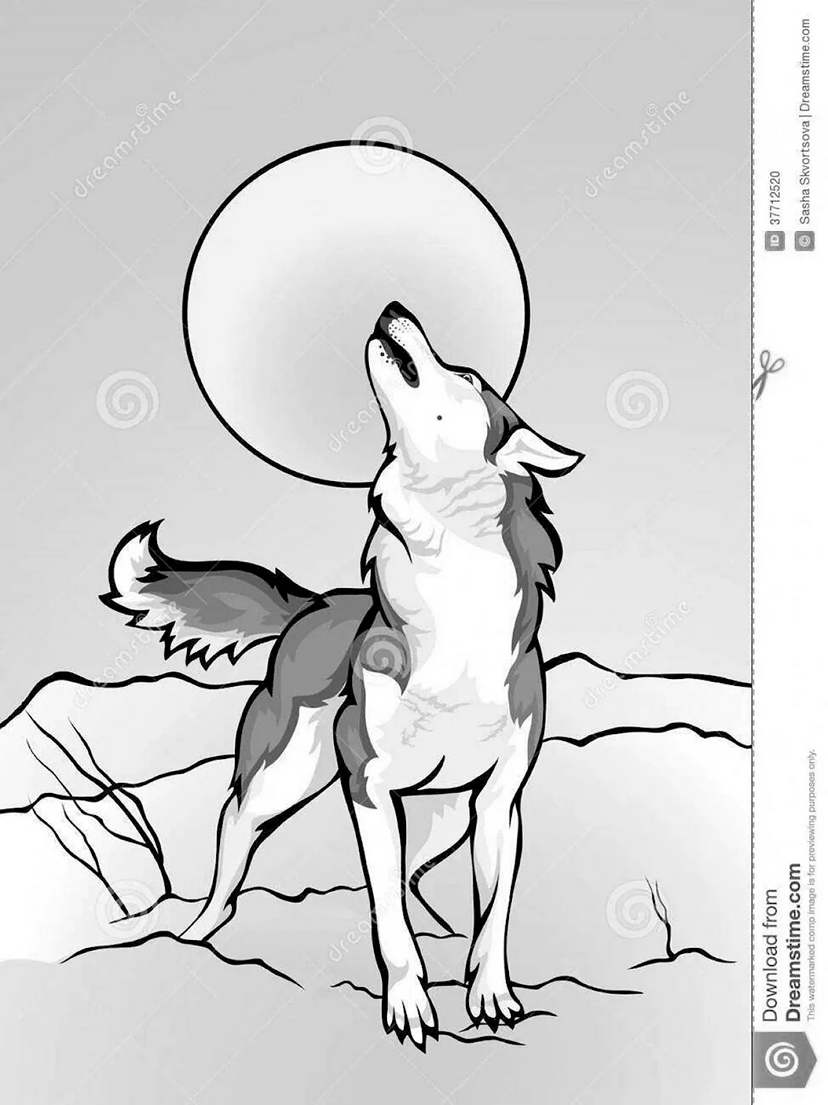 Волк воет на луну карандашом