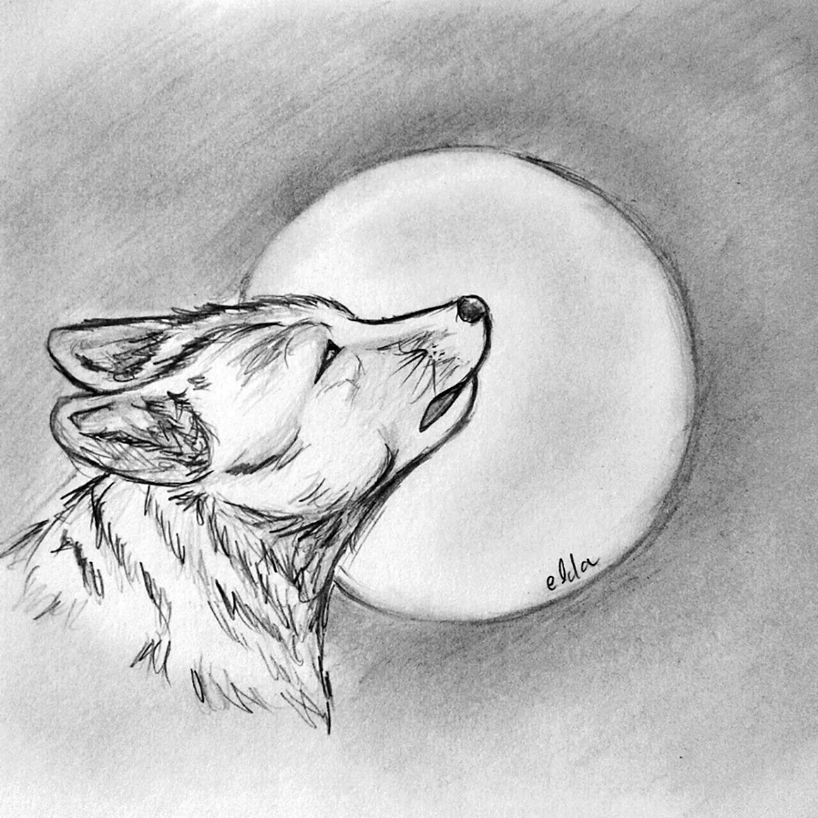 Волк воет на луну рисунок карандашом