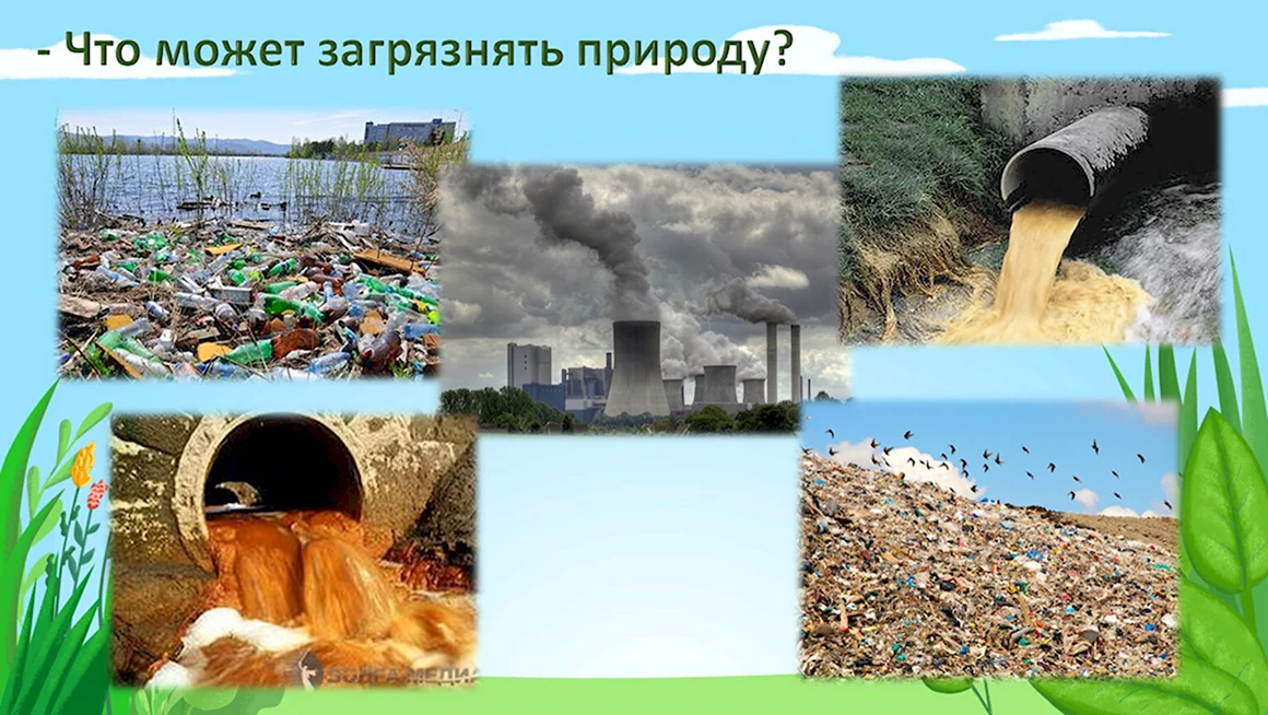 Загрязнение среды человеком