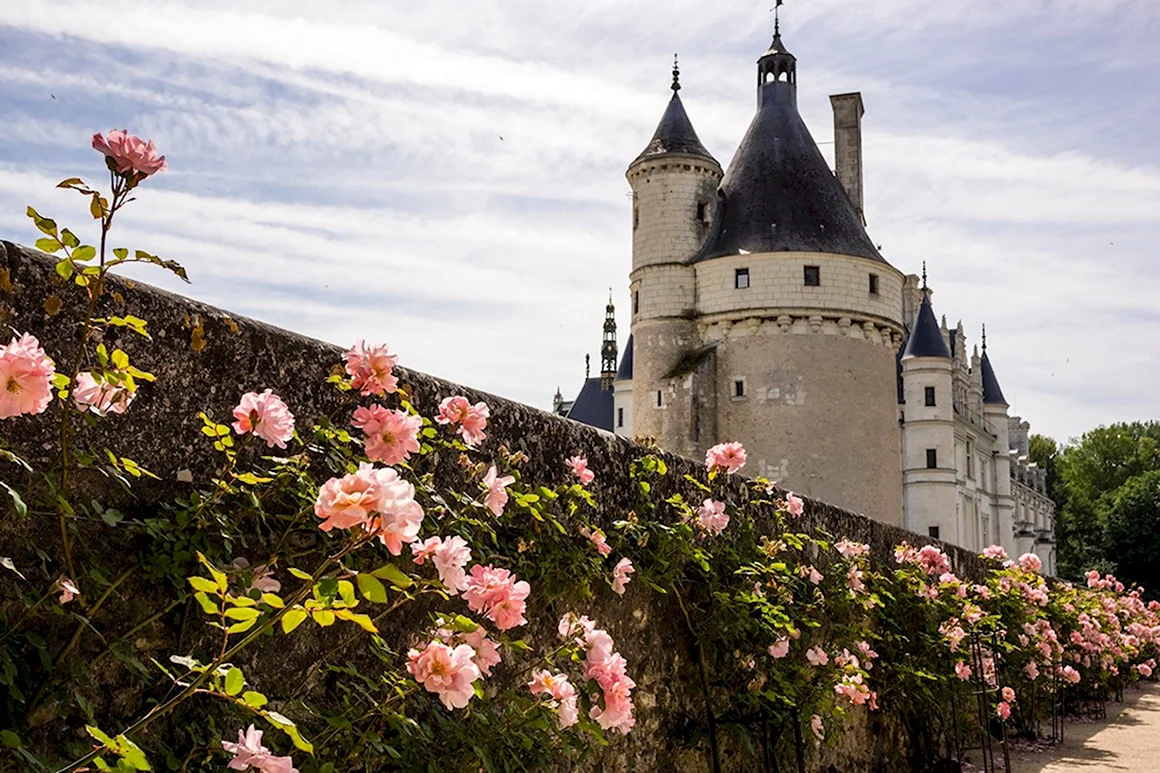 Замки Франции самые красивые замки
