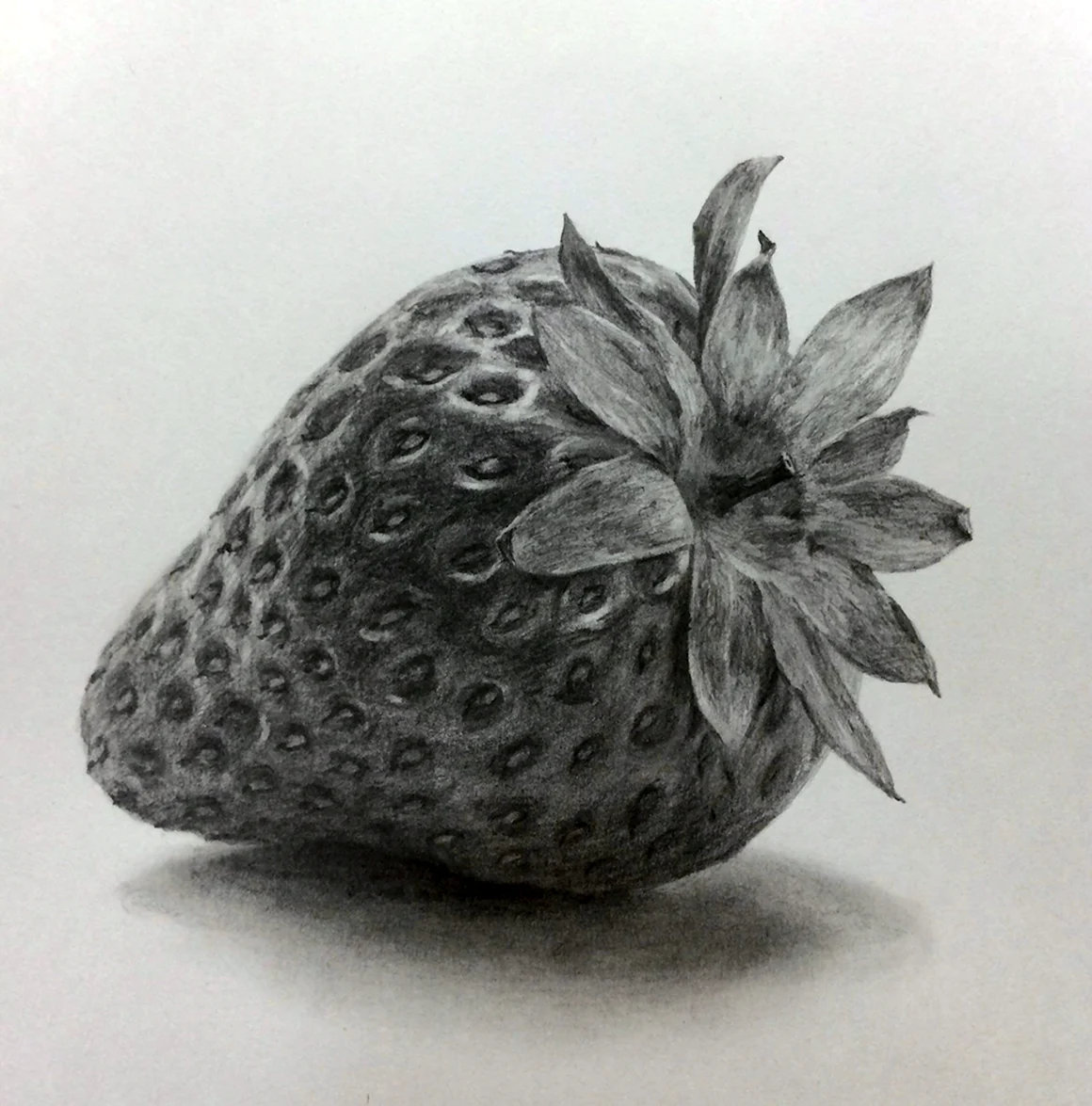 Зарисовки фруктов