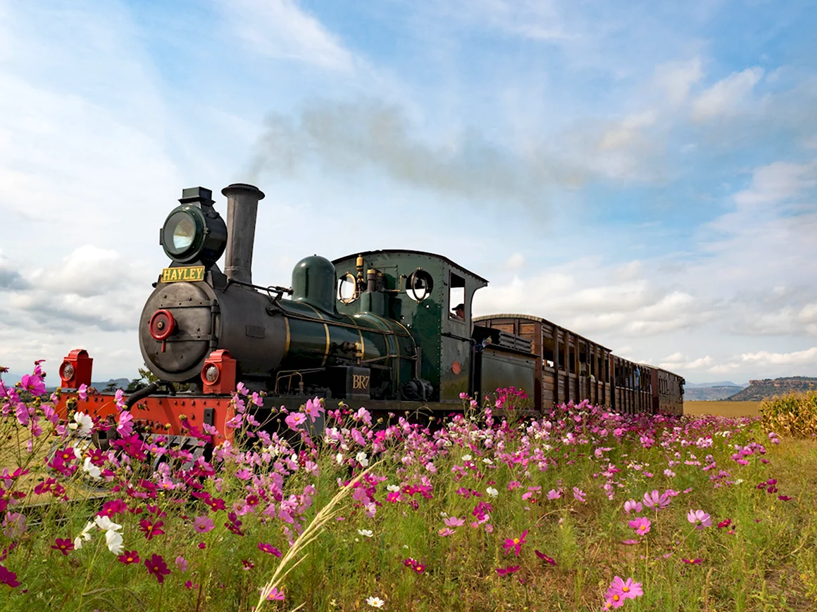 Железная дорога Steam Train Retro