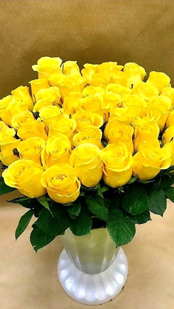 Желтая роза Мохана