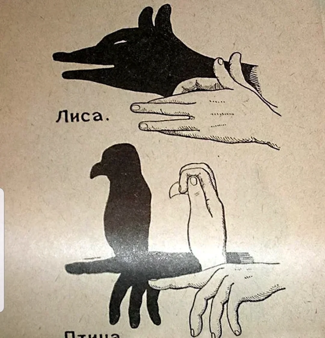 Животные руками на тени