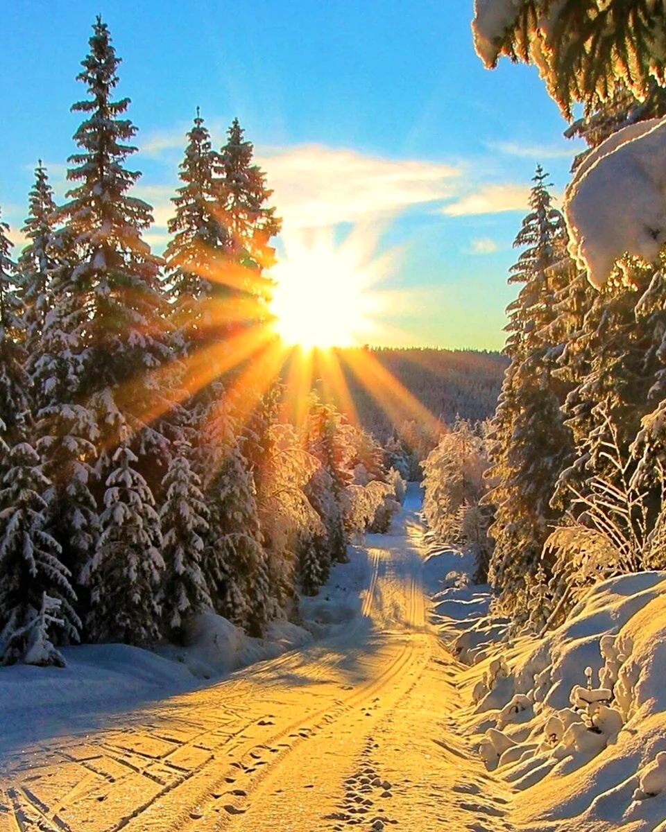 Зима солнце