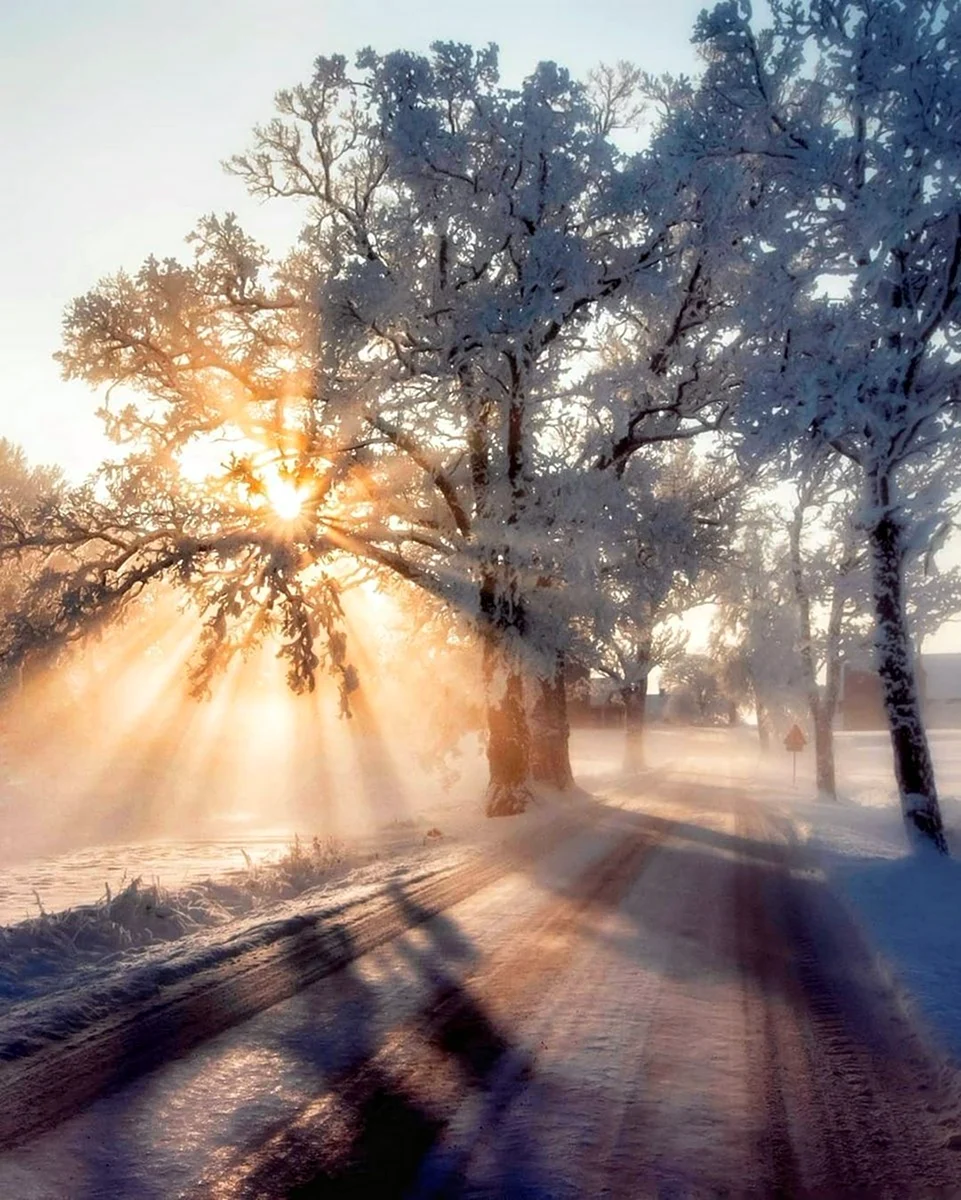 Зима солнце
