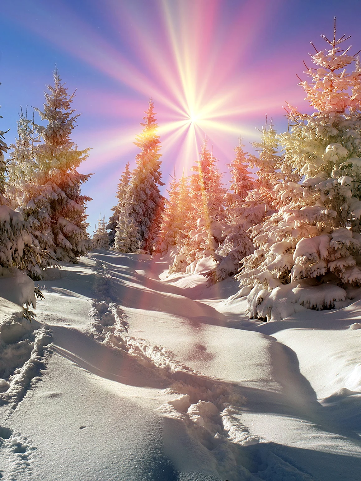 Зима солнце мгновение